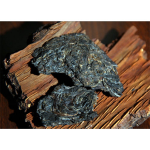 Aged Pu-Erh Tea - Digestive Support & Energy Boost